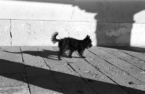 La Serenissima – Fotografie von Sarah Koska